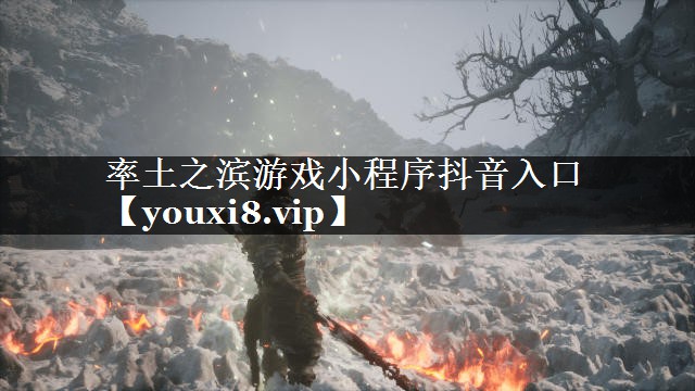 率土之滨游戏小程序抖音入口