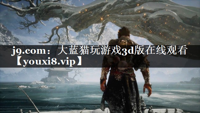 大蓝猫玩游戏3d版在线观看
