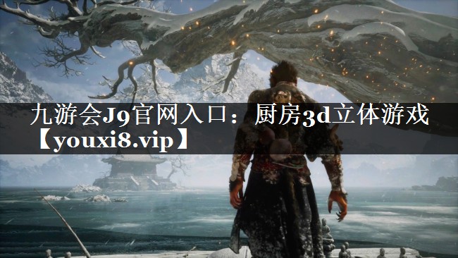厨房3d立体游戏